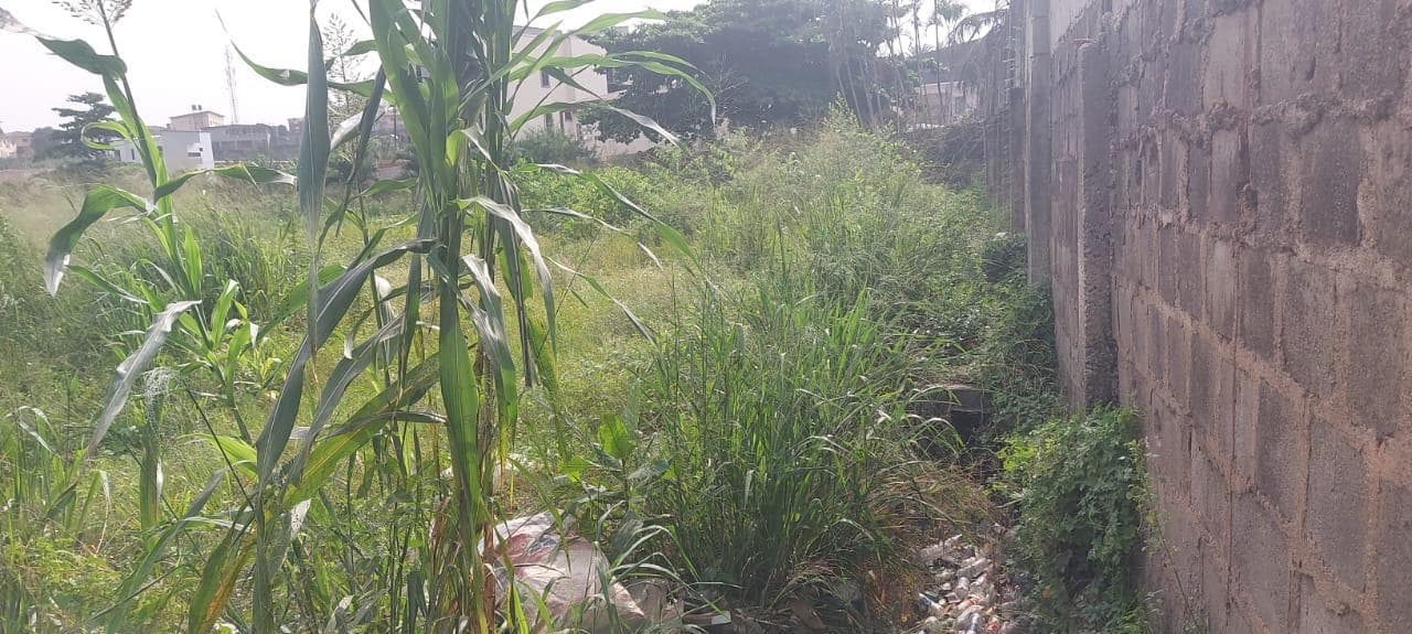 AN OPEN LAND MEASURING EXACT 3 PLOTS 50 BY 100FT